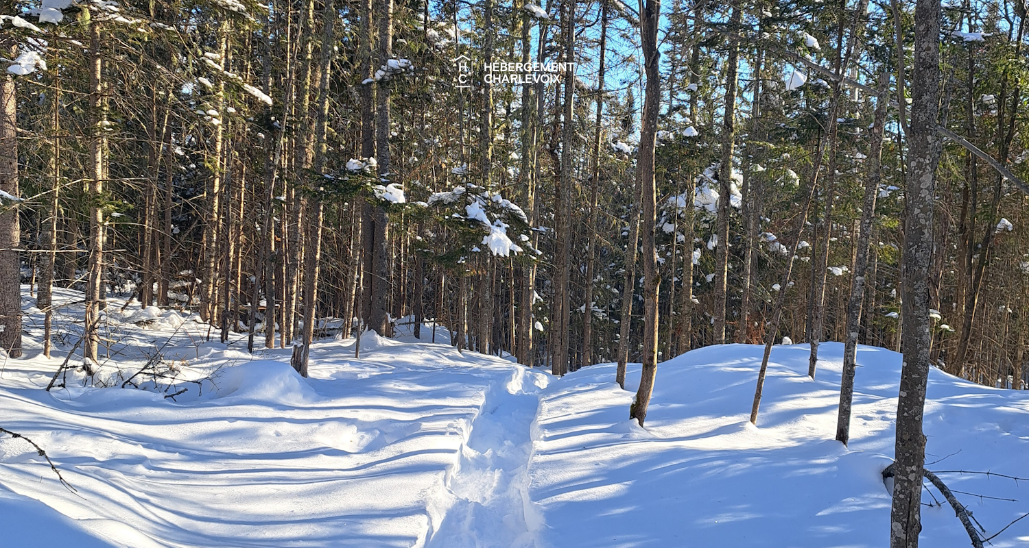 AAC-675 - Located in a very wooded area.