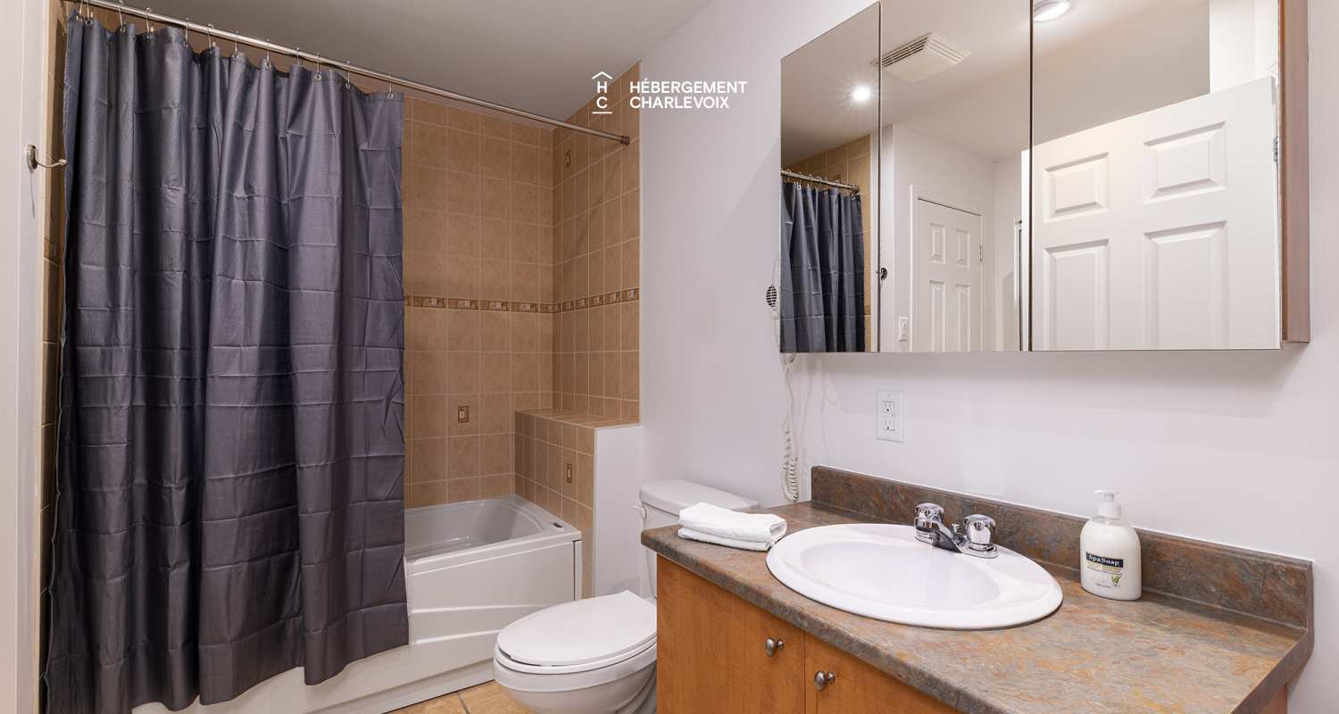 ANC-25-1 - Offrez-vous Charlevoix dans toute sa grandeur!