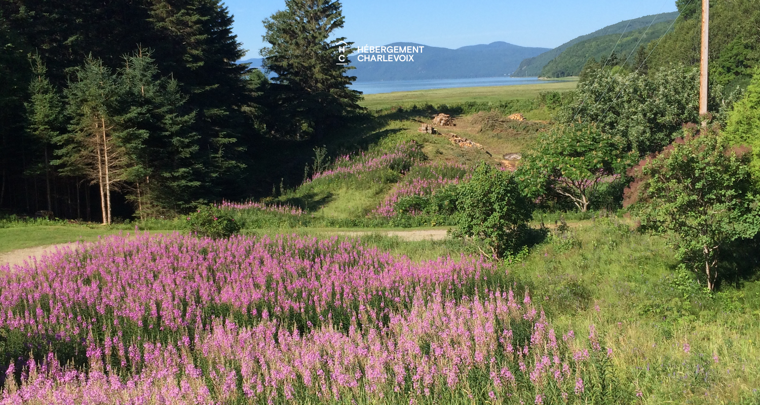 ANSE-883 - Quiet sector near the St-Laurent river