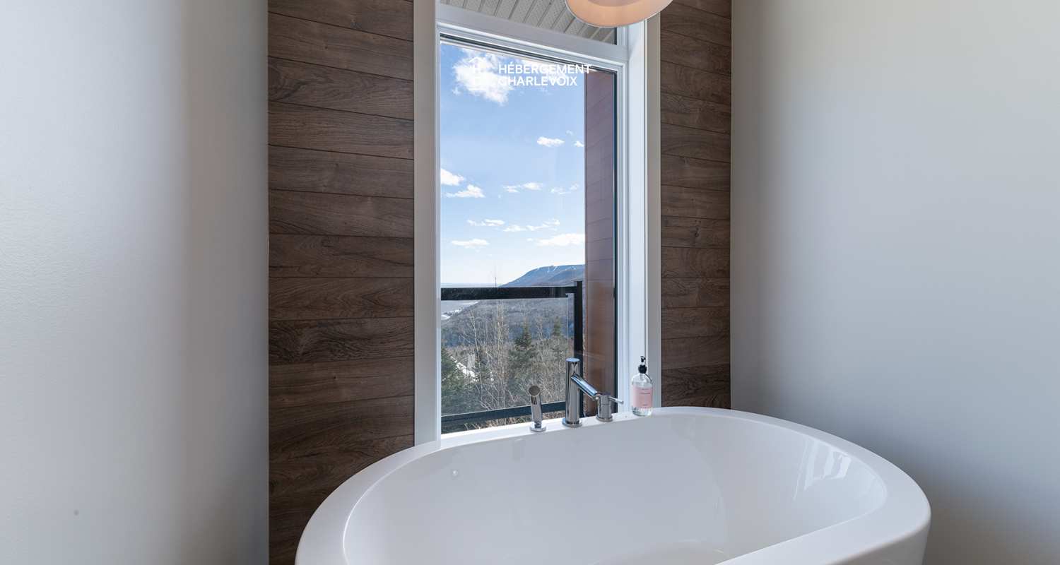 BRI-43 - A panoramic view on the river and the mountains