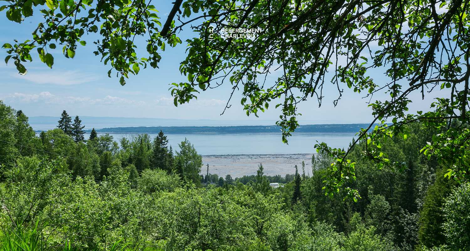 CAM-216 - Superbe chalet estival en vieilles pierres