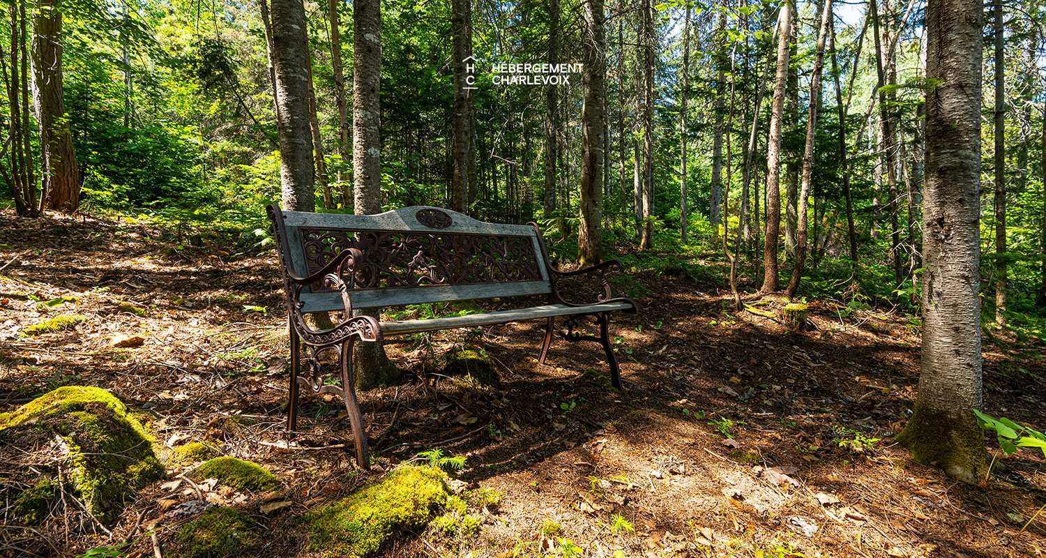 COE-130 - Aux portes du Parc national des Grands-Jardins