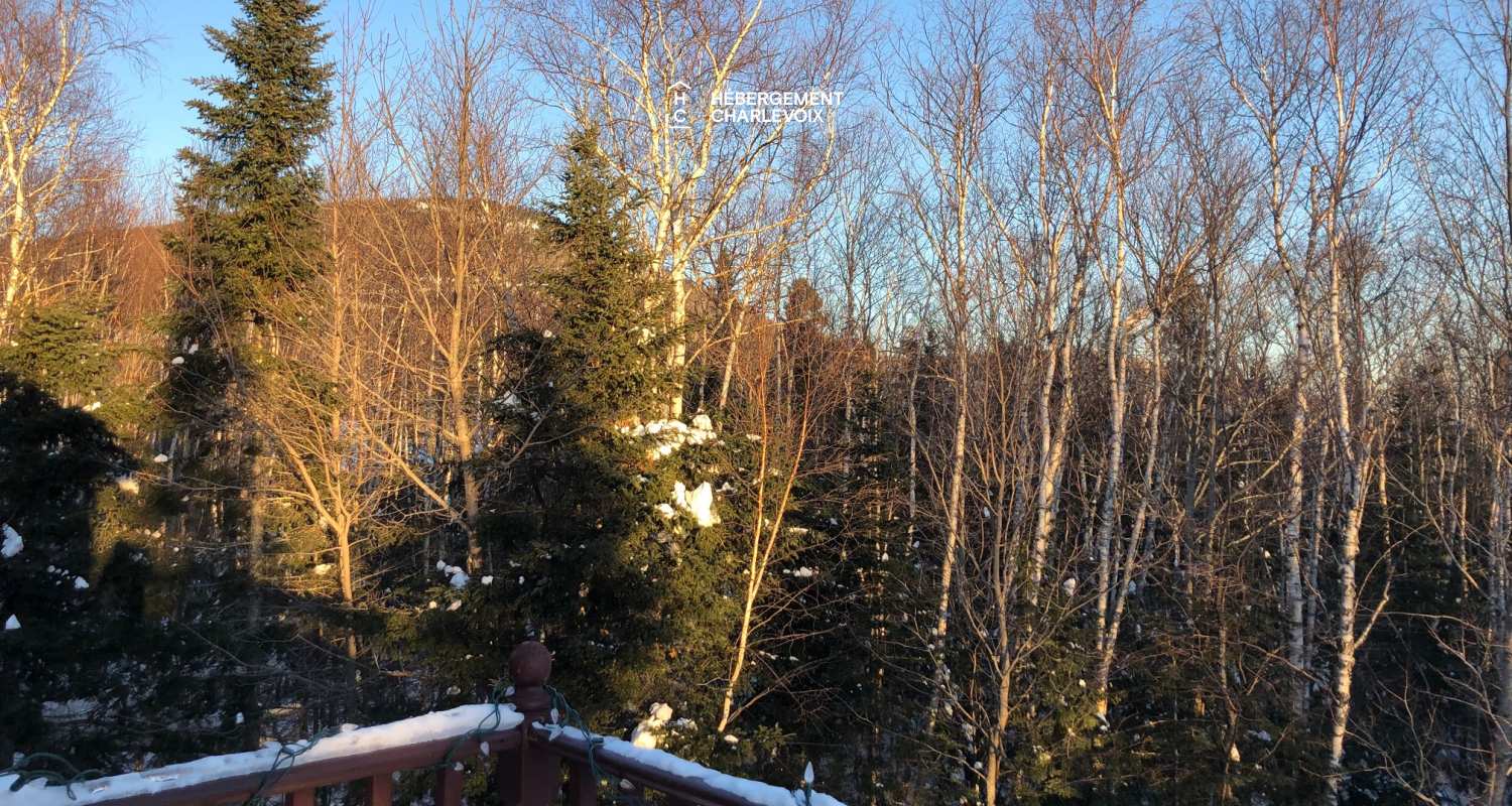 ESC-219 - An open kitchen for gourmet moments