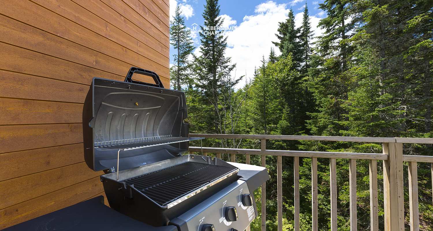 FOR-11 - Résidence moderne proche des pistes de ski