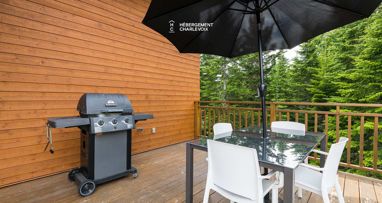 FOR-12 - A chalet with ski slopes nearby