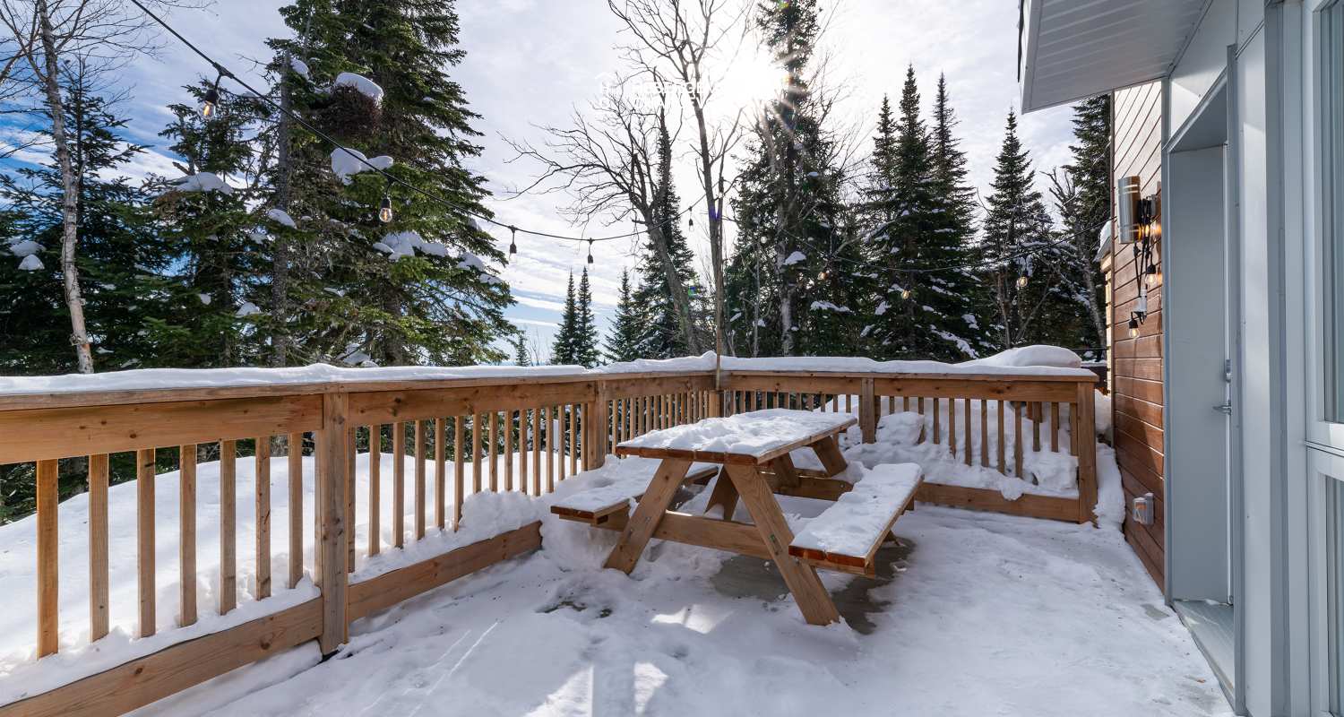 FOR-34-A - Résidence moderne proche des pistes de ski