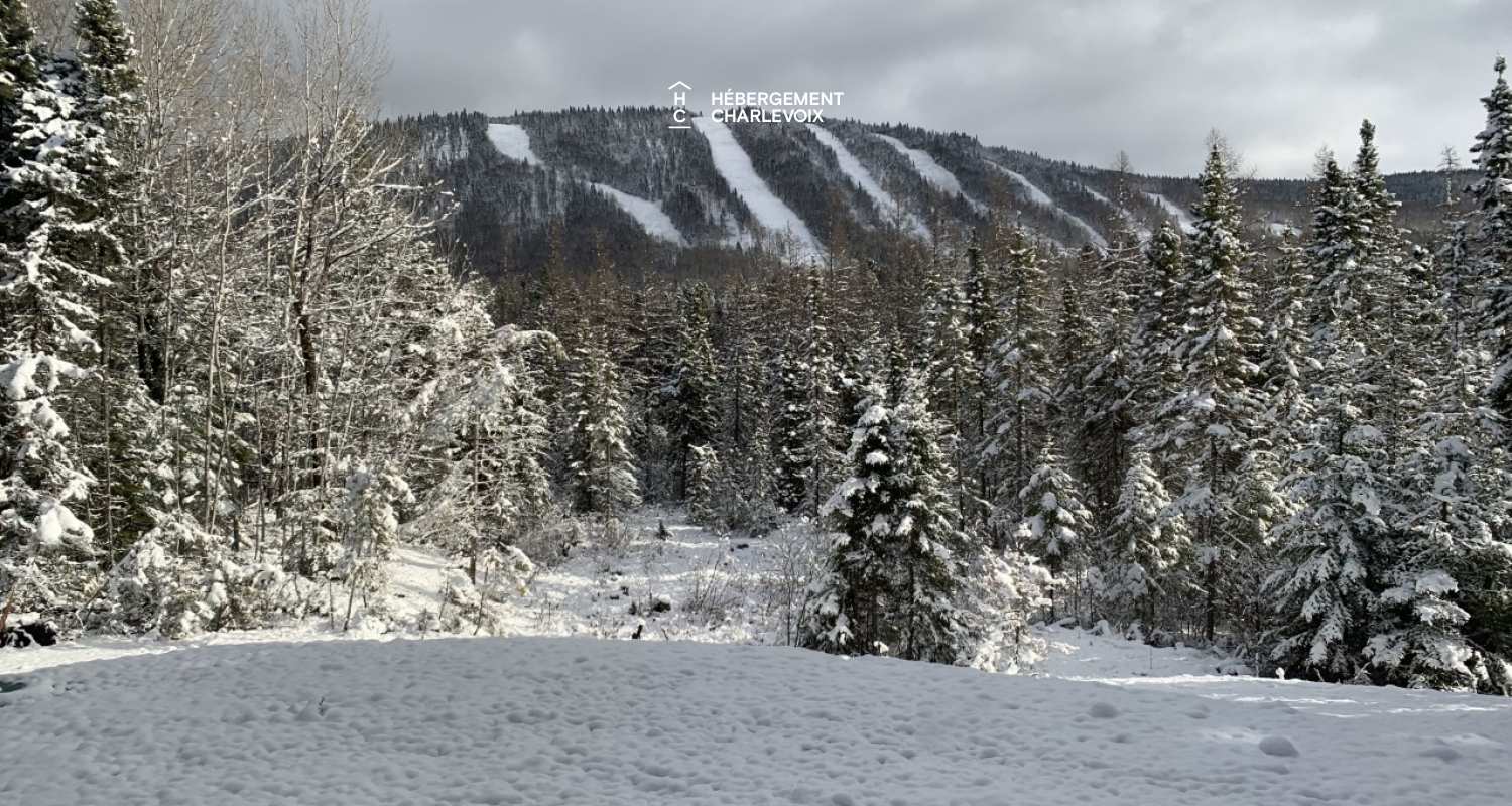 GINA-194 - NOUVEAU CHALET, de haut standard