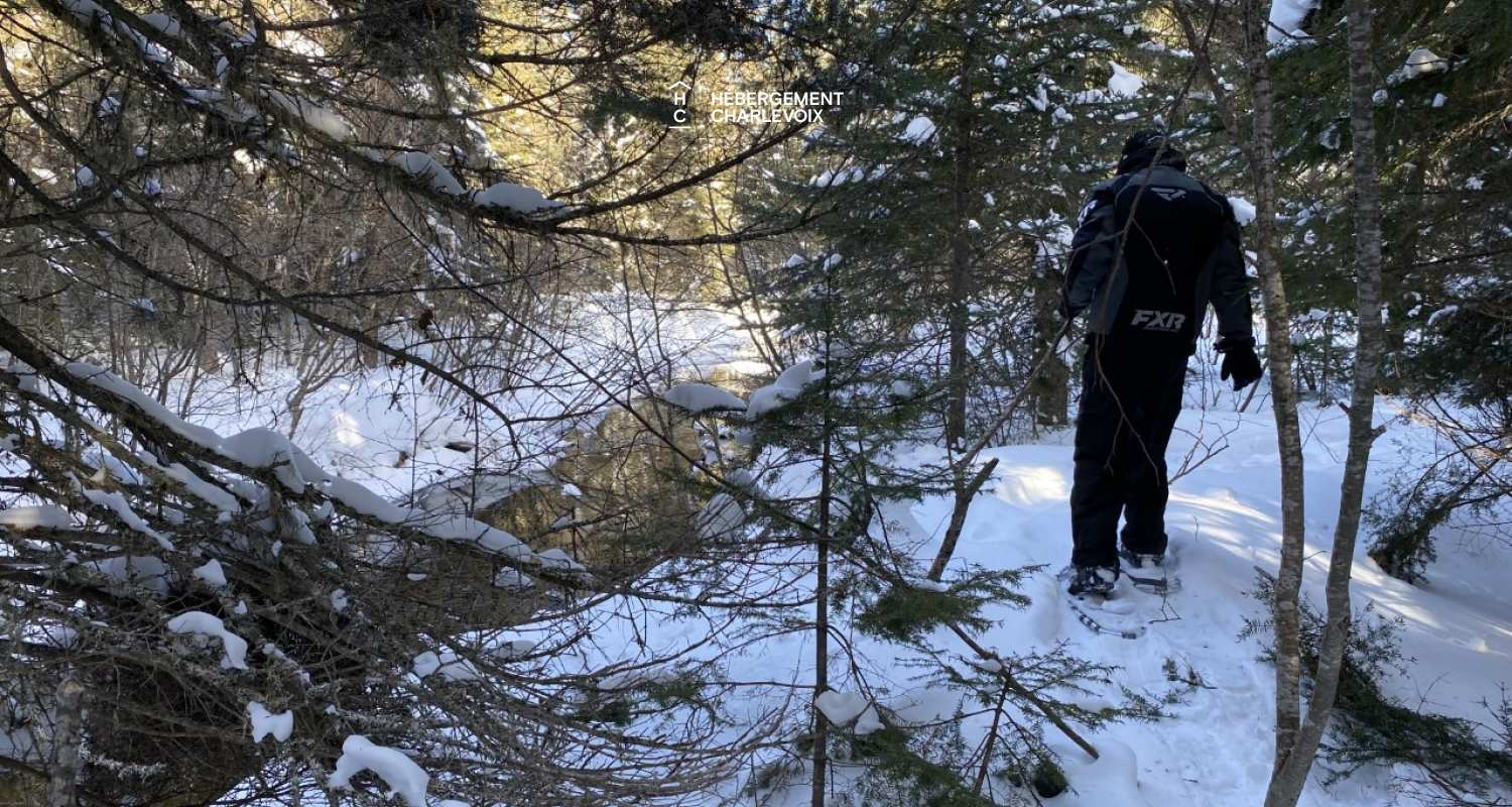 GINA-194 - NOUVEAU CHALET, de haut standard