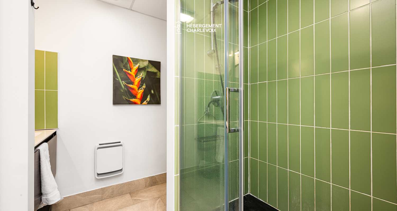 HAV-6 - Majestic view of the St. Lawrence River!