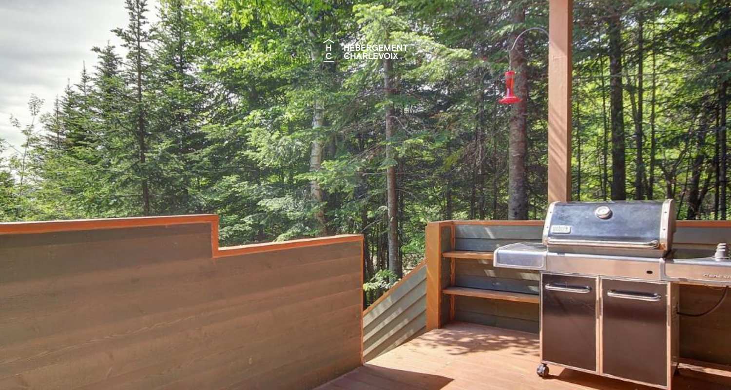 LOR-14 - Spacieuse terrasse dotée d'un SPA