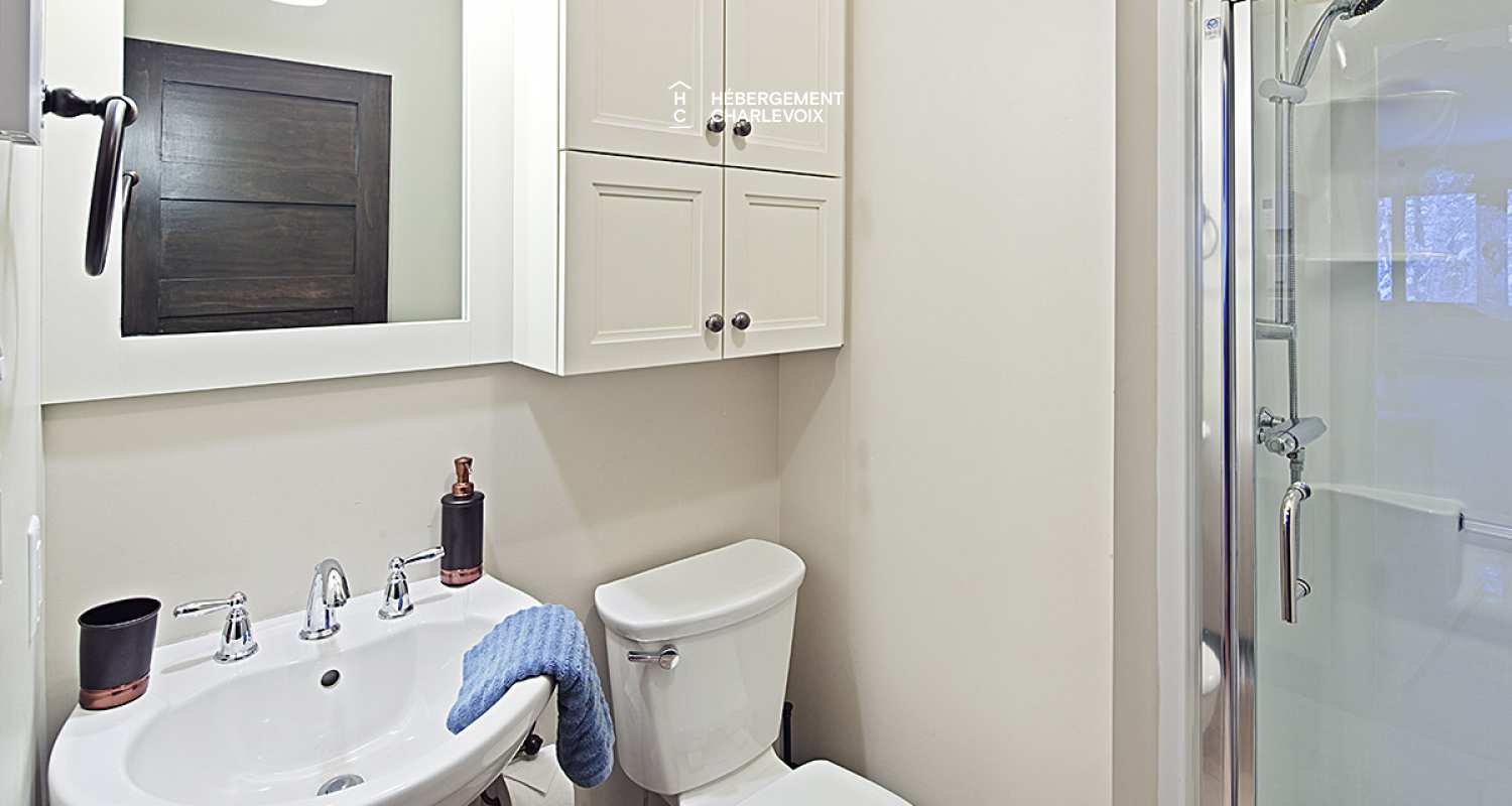 MIR-1 - A nice cottage for winter and summer time