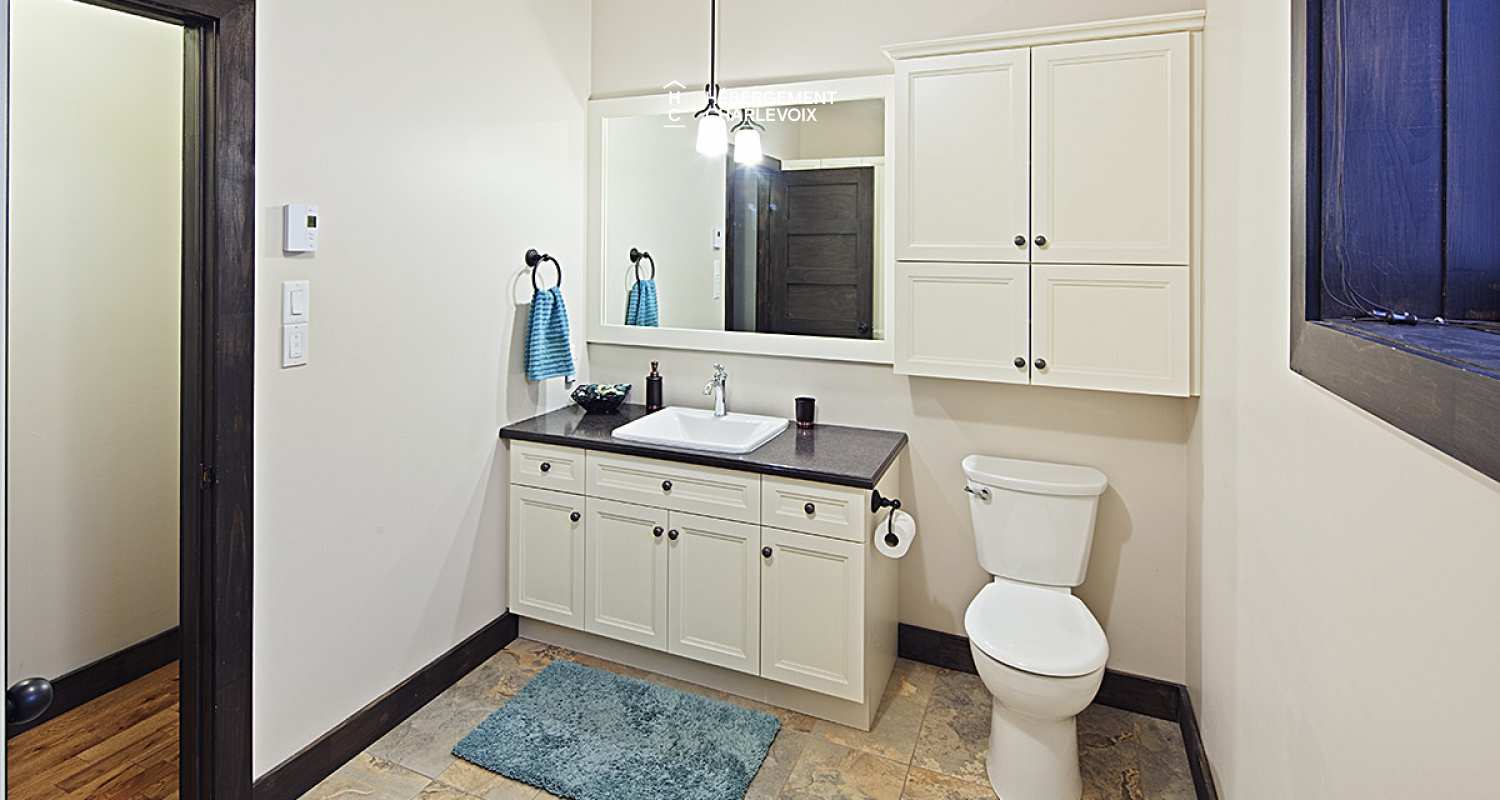 MIR-1 - A nice cottage for winter and summer time