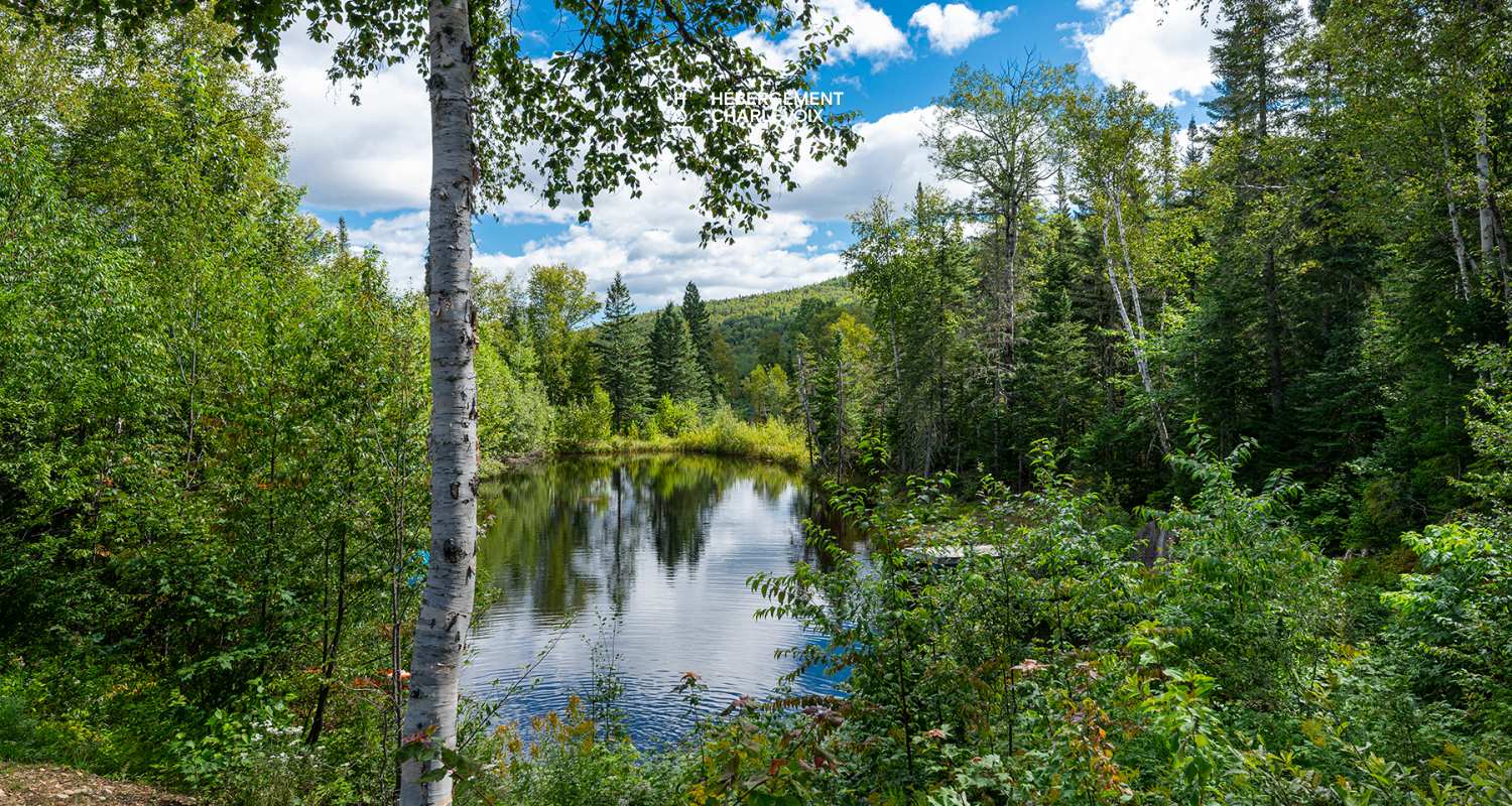 PIO-9 - Chalet de style scandinave avec un lac