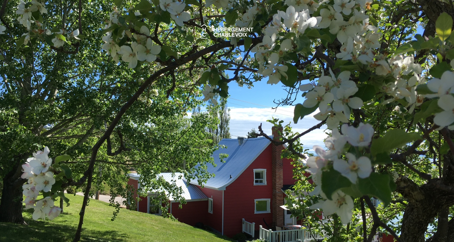 ROU-330 - À chaque objet son histoire