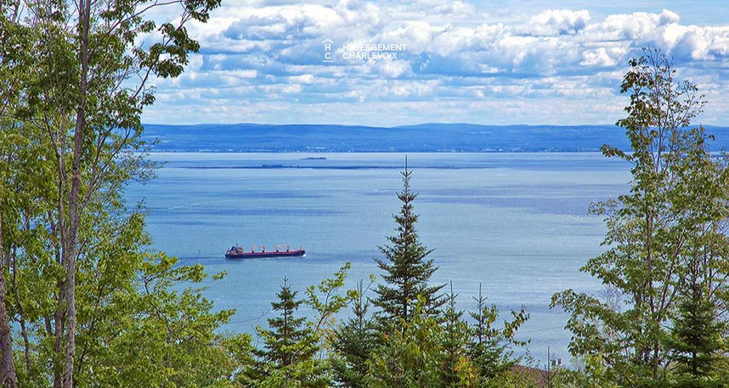 COE-9 - Spacieuse terrasse dotée d'un spa