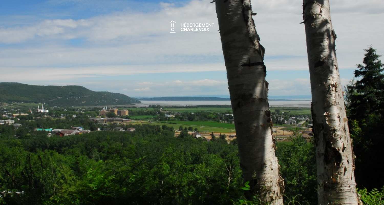SEN-135-1 - Modern chalet with panorama on the beach