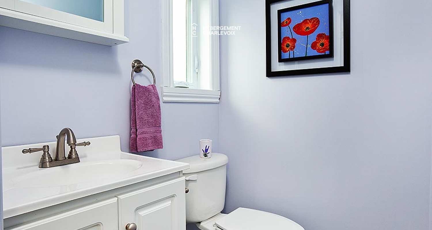 BAL-540 - Une expérience charlevoisienne traditionnelle