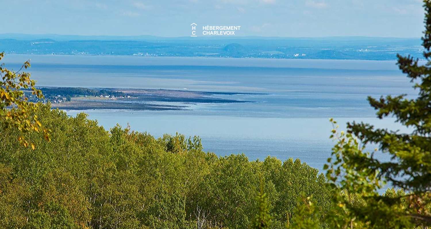 APO-1 - Perfect alliance between rustic and contemporary