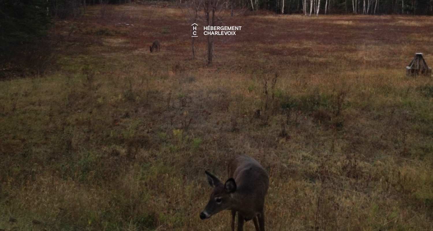 COU-85 - Coquette maison dans les hauteurs de Charlevoix