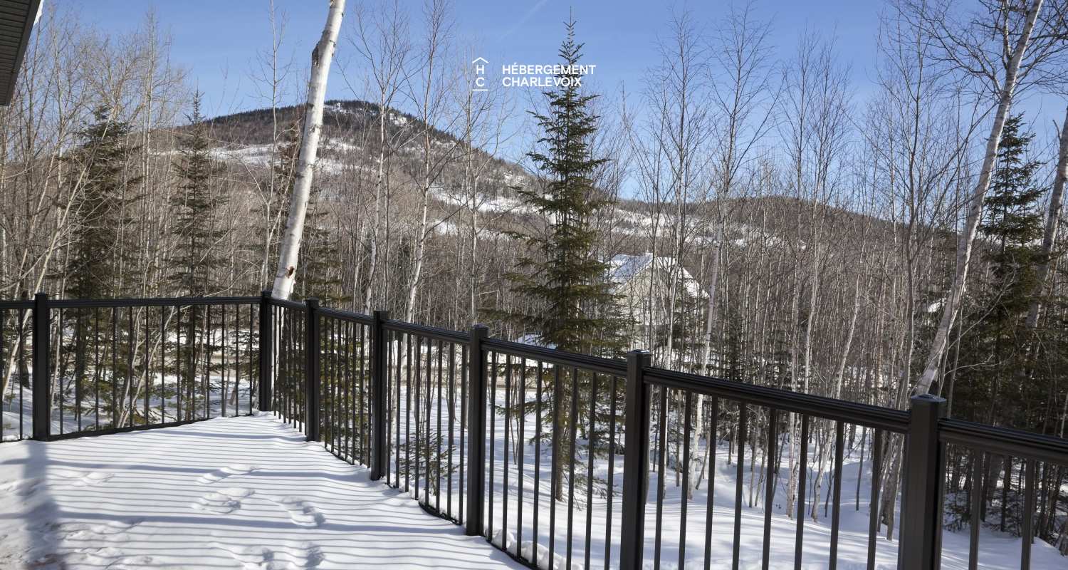 BOI-188 - Un feu de foyer réconfortant