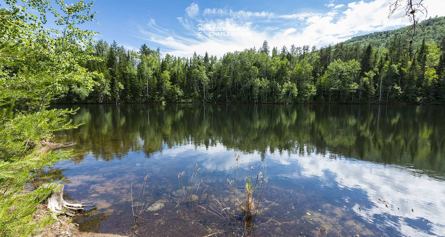 SIM-39 - Real cottage with a private lake