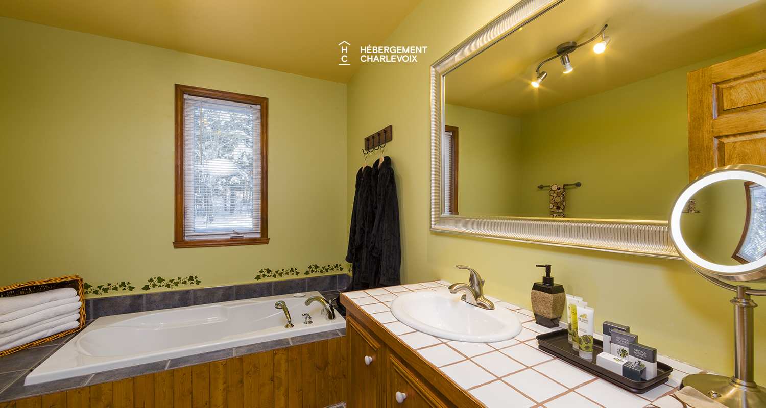 ALP-6 - Perfect summer and winter terrace.