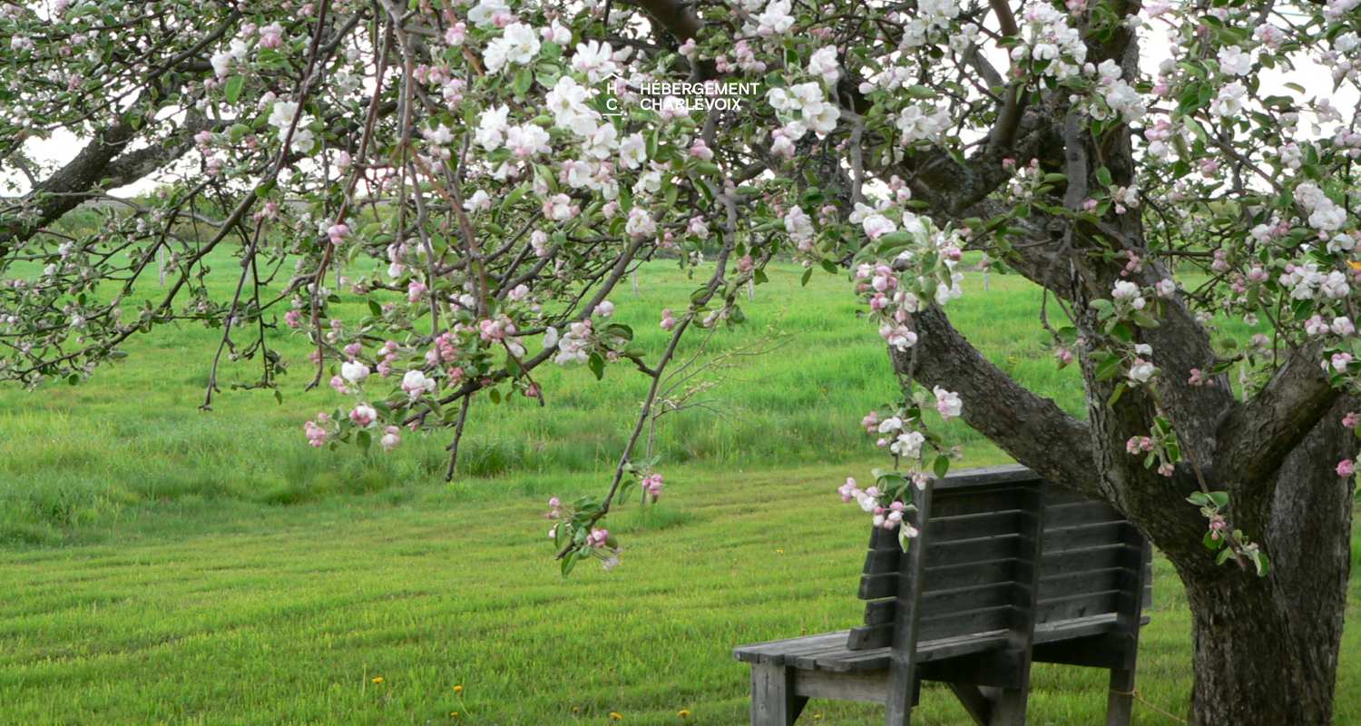 CHIC-645 - House with breathtaking view of the river