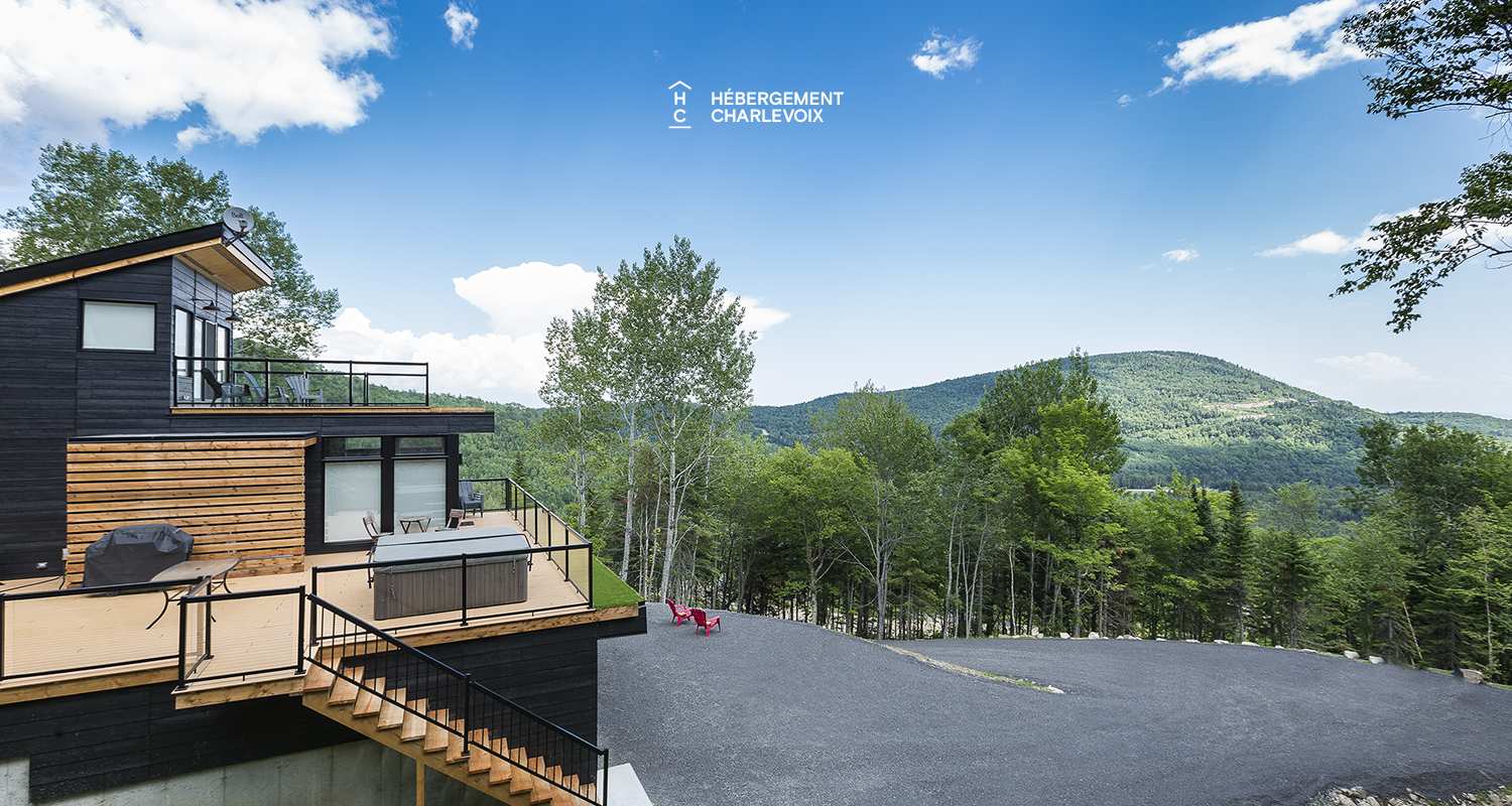 MIG-17 - Le contemporain en pleine forêt