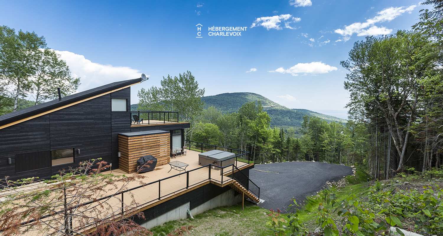 MIG-17 - Le contemporain en pleine forêt