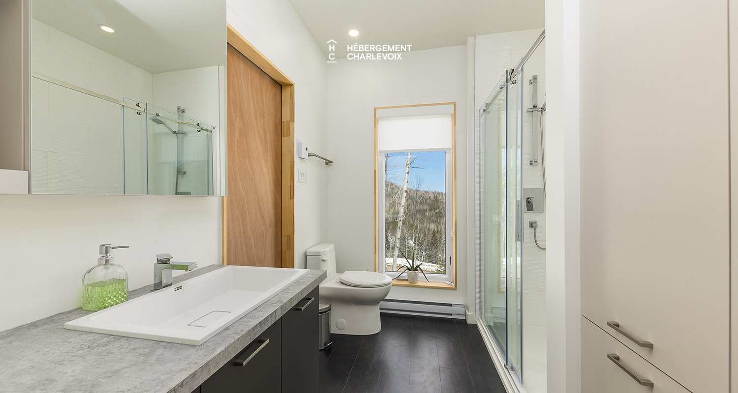 MIG-17 - Le contemporain en pleine forêt