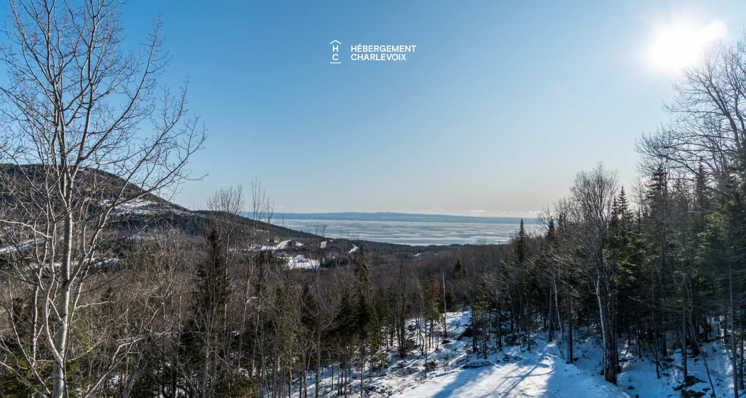 MIG-17 - Le contemporain en pleine forêt