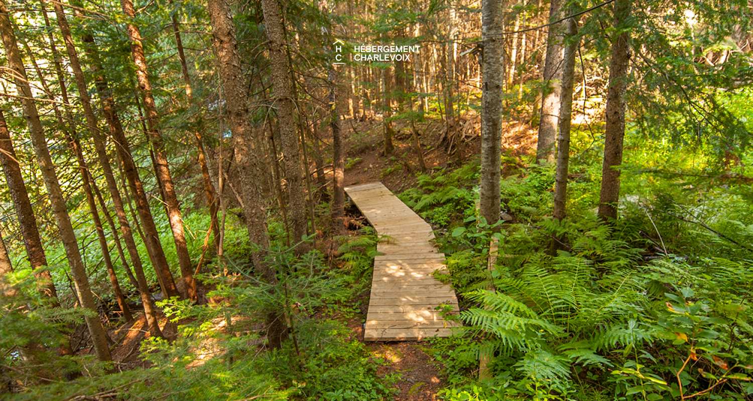 NAF-256 - Cottage on the edge of a lake with trail, waterfall and pond